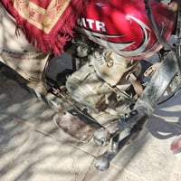 ستوته • موديل 19 • اوراق اصولي