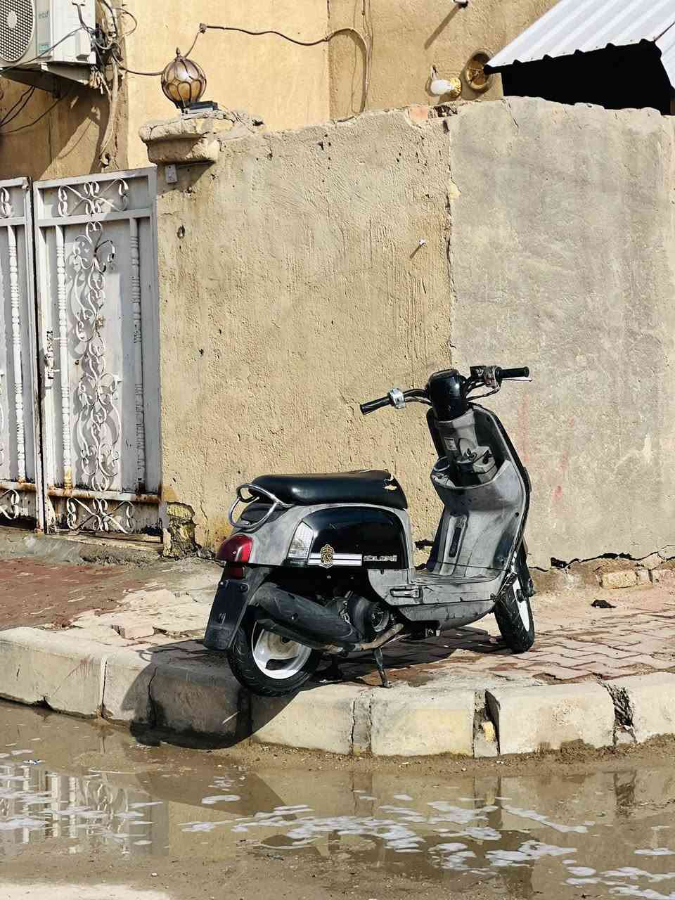 بوليس نوزل كفاله عامه صار 3 اشهر نازله من الرمبه كلها شغاله مابيها نقص شعره نكره سلف ما تذب عليها ربع. السعر 850وبيها مجال قليل الرقم ***********ومتواجد ماسنجر واتصال
