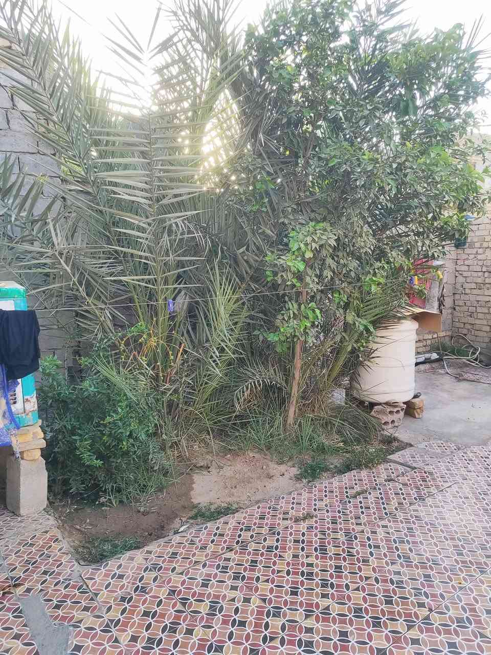 السلام عليكم
بيت للبيع المساحة بالمكاتبة ١٥٠م واقع حلل ١٧٠ متر طابو زراعي سند ٢٥

يتكون من غرفة ومطبخ وصالة واستقبال

البناء بلوك والسقف عكادة

العنوان / الشارع العام خلف مول الجود 

للاستفسار اكثر مراجعة مكتب وسام صادق للعقار الواقع في حي كامل شارع البريد 

تريد تعرض عقارك او تشتري اتفضل خاص

***********. كاظم حسين
