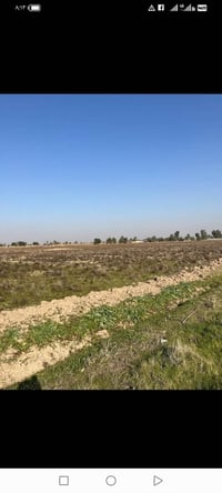 هبهب ديالى • ٢٥ دونم • سند