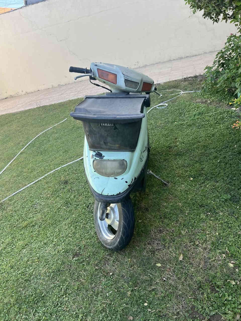 للبيع الرقم *********** الكورك ***********
