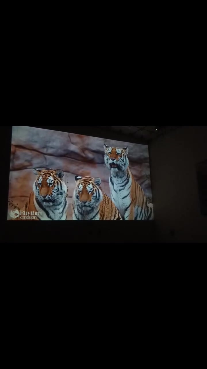 Projector.
نظيف وجديد مستخدم قليل .
فول مواصفات : 
دقة دمعة .
بلوتوث .
كيبل HD و AV و Power .
كنترول بلوتوث بدون تگطيع .
سماعات من نفس الجهاز .
مروحية تبريد .
وبي مدخل سماعات سلكية مال موبايل .
بالكارتون مع جميع الملحقات.
السعر 85 الف . 
الايسر حي الشيماء .

رجاءً الموشراي لا يدخل خاص .


**إذا كنت صاحب هذا الإعلان وتريد حذفه لأي سبب، رجاءا أرسل رسالة إلى الدعم الفني**