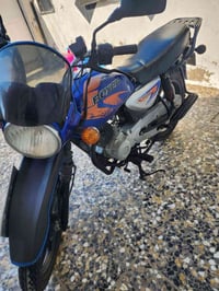 بوكسر جبلي • ٢٠٢١ • مرقمة بغداد