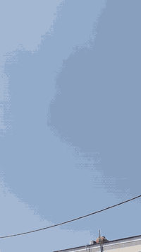 ستوته • موديل 23 • اوراق اصلية