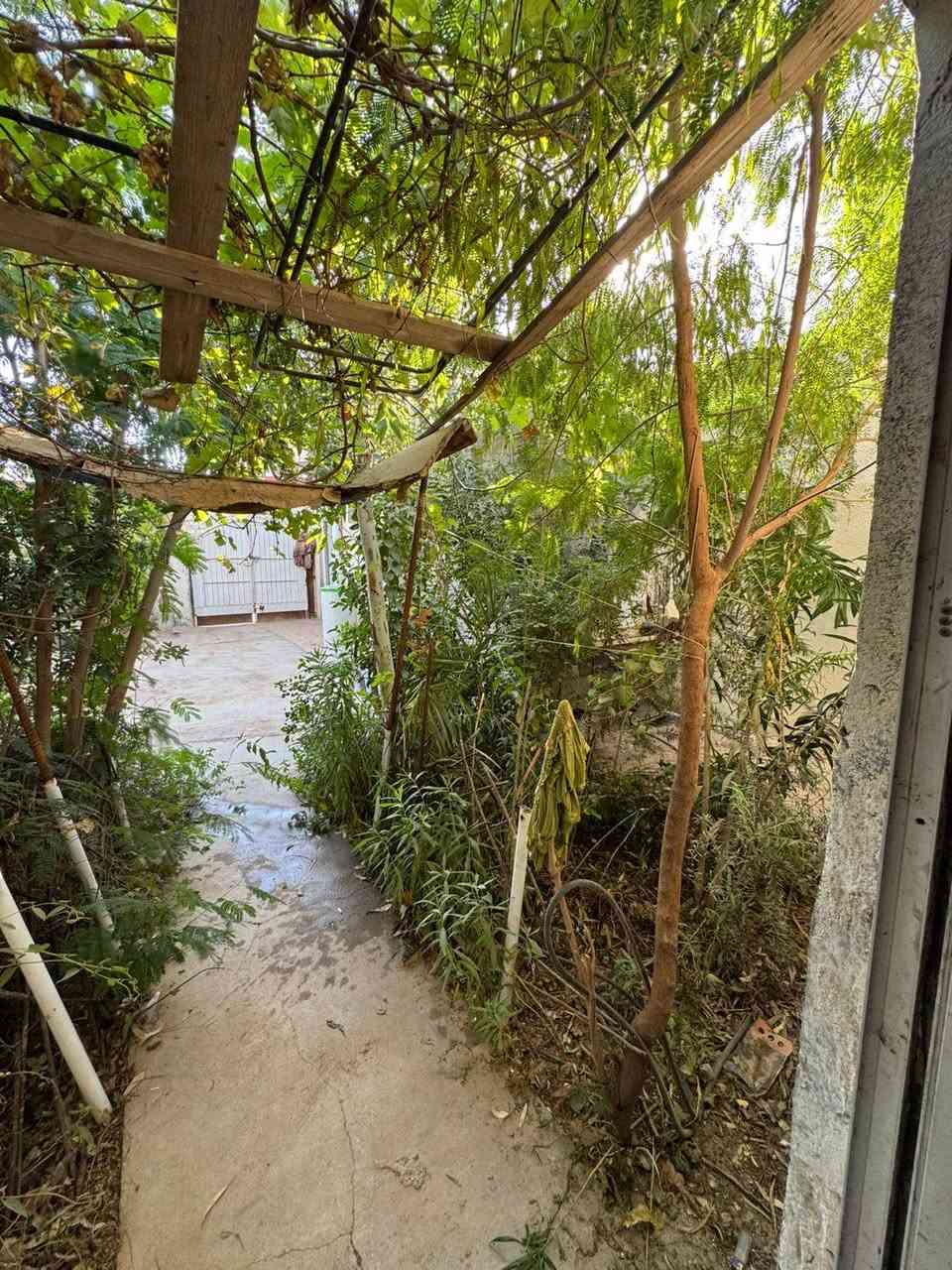 السلام عليكم بيت للبيع مساحته 290متر مربع في الكارظيه قرب مستودع النفط قرب الحولي يبعد عن التبليط 30متر وعن الشط 30متر 3غرف وصاله ومطبخ عكاده الاستقبال صب الصحيات سندويج وبي غرفة ومطبخ منعزلات سندويج بي حديقة مزروعة رمان وتين ورارنج وزيتون وعنب الرارنج ذاب والرمان ذاب الارضيه سيراميك جميع الخدمات بي نت ضوئي اساله كهرباء مولد سحب مستعجل على بيعته البيت مسكون حاليا ***********
