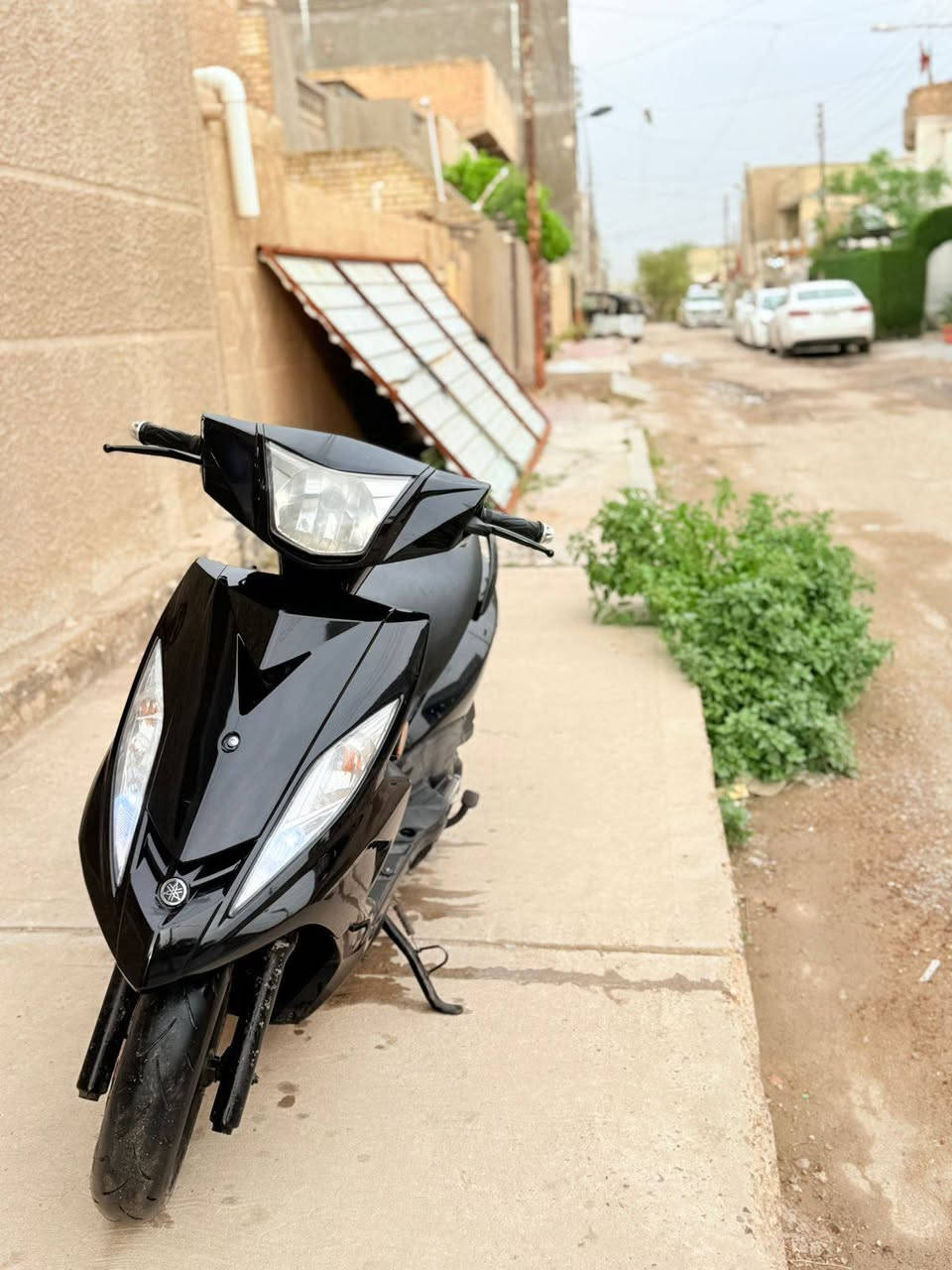 دراجه جي تي ار موديل 14جديده اسبوع ومنزلهه من الرمبه كلشي بيهه ولا مفتوح برغي وكفاله عامه للتصال او مراسله الاتصال علا رقم ***********/***********
