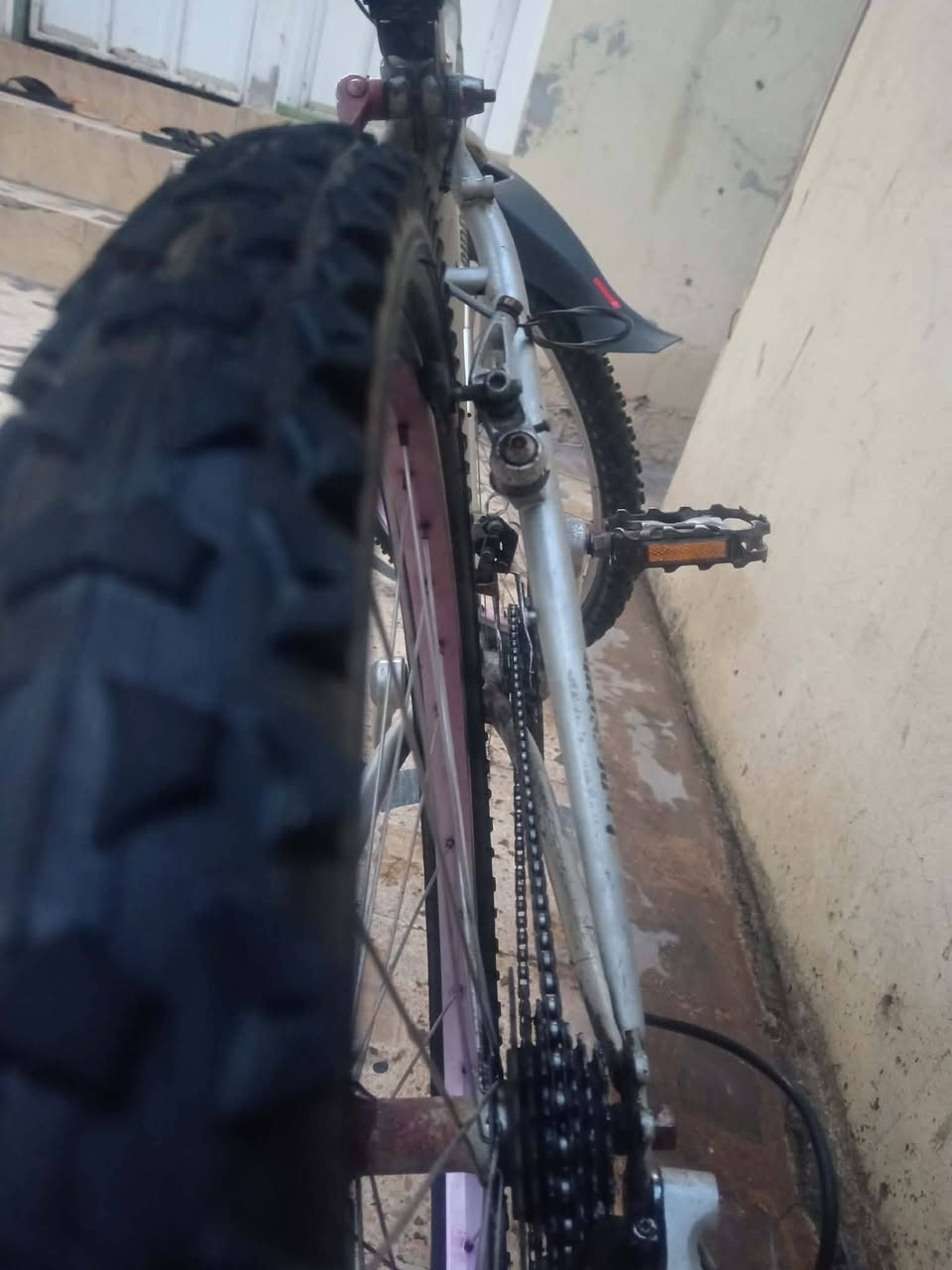 سلام عليكم بايسكل برجستون باب اول للبيع حجم 26
وياله اصليه بدون عواج مال شركه كيرين صطابين
قعاديه اصليه كلشي اصلي تايرات شركه
سعر70 وبي مجال قليل الشراي يجي خاص


**إذا كنت صاحب هذا الإعلان وتريد حذفه لأي سبب، رجاءا أرسل رسالة إلى الدعم الفني**