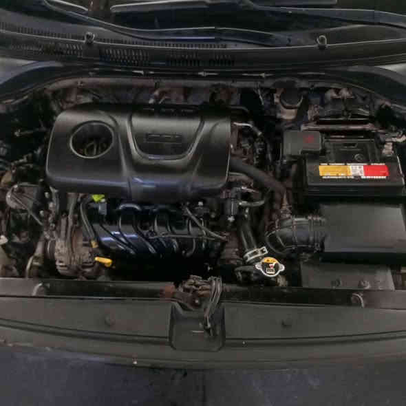 أدامة أكسنت 1600/ 2019 بتاريخ 2025/11/17
تنضيف غرف الاحتراق الداخلي الولفات بمادة قشور الجوز 
تنضيف الدكشن البارد 
فتح وتنضيف النوزلات +مسطرة +واشرات حديد +واشرات 
تنضيف حساسات VVT 
تنضيف حساسات الكام شفت 
تنضيف حساس الماب سنسر 
تنضيف ولف التبخير 
تنضيف الجويتر مع البرمجة 
تبديل بلكات اضطراريا لتلف القديم وليس مطابق (أريديوم)
فحص المجاول خارجيا بجهاز متخصص في كشف التهريب 
فحص الفيت بم وخط الراجع اكترونيا بالجهاز 
برمجة السيارة بعد العمل وخلوها من الاعطال كافة 🌹 
تنضيف سطح المحرك بفوم خاص مجدد 

تحياتي زبائننا الكرام مركز المصطفى 
سيارات الاربعة سلندر 50 الف ادامه شاملة للمحرك ✅ 
سيارات الستة سلندر 60 الف ادامة شاملة للمحرك ✅ 

حي الاعلام شارع السيراميك الرئيسي مجاور معرض الخفاجي للانشائية و آزاد للسيراميك مقابيل العالمية للزيوت 

***********
