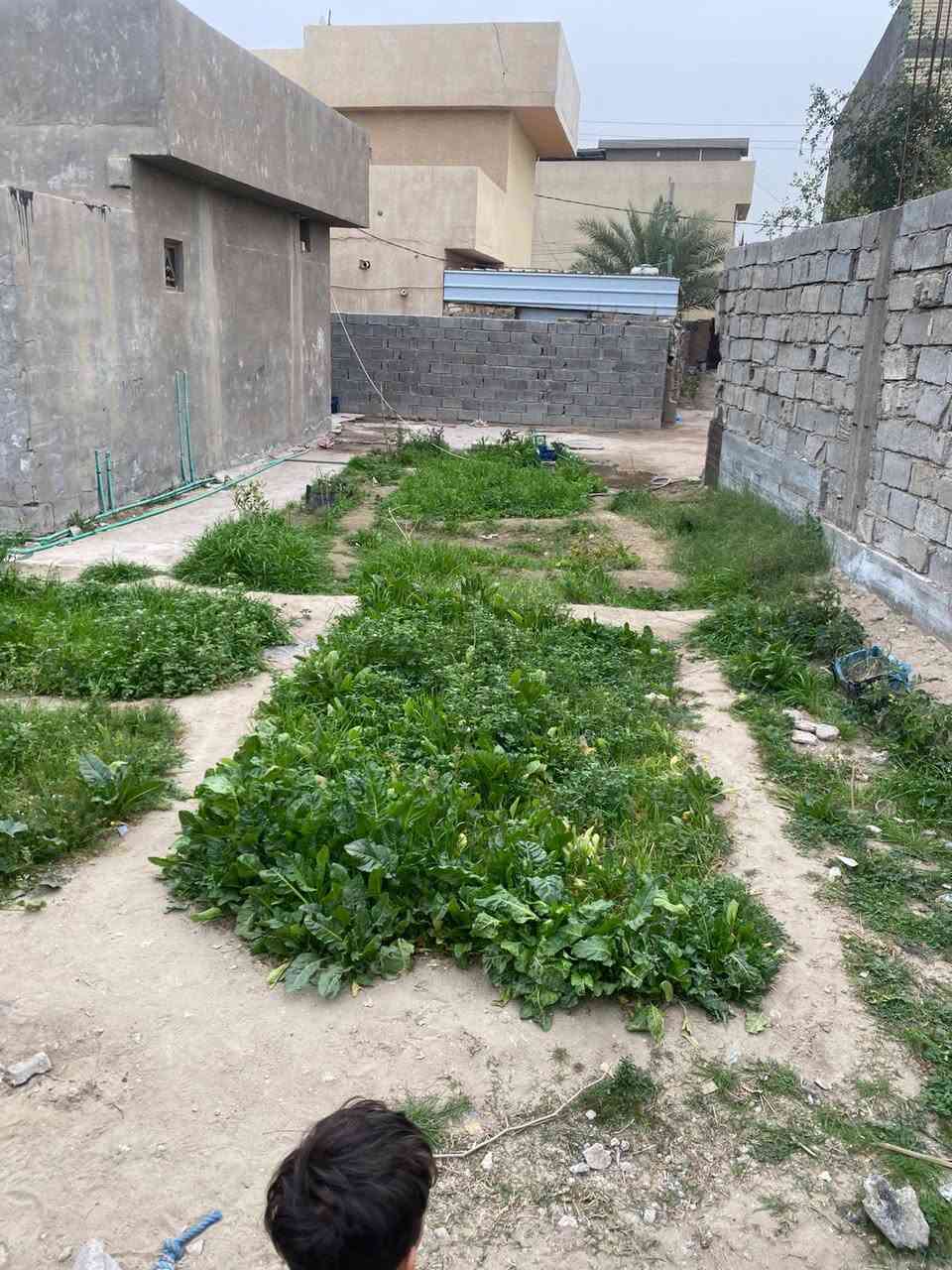 سلام عليكم بيت البيع موقع كربلاء لامام عون عمود 243مساحه 480بناء حديث مساحه 150السعر 160وبيه مجال رقم الهاتف***********
