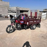 ستوته • ٢٠١٨ • بدون تبديل