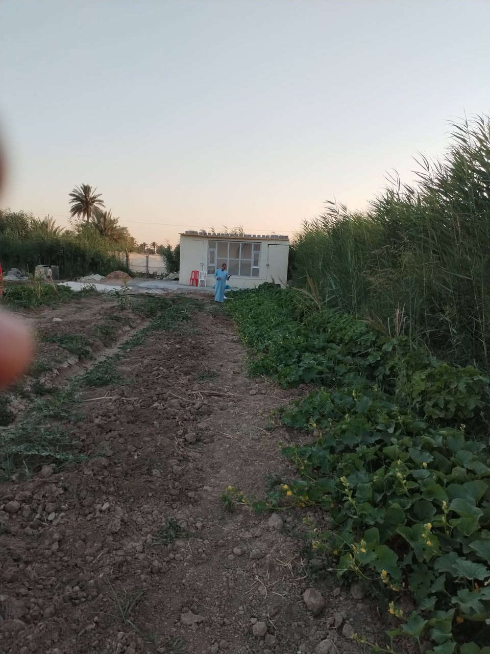 ارض زراعيه مساحه ٢دونم و٦٥٠متر كاع روعه تسقي سيحا موقع ممتاز كافه الخدمات طويريج الحولي مقابل الحي العسكري تفاصيل على الخاص مكتب حيدر للعقار ***********
