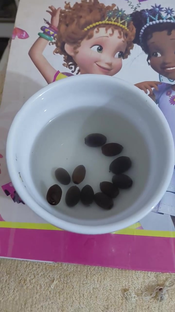 توفرت بذور ازهار اللوتس المائي العطري ..
@إشارة


**إذا كنت صاحب هذا الإعلان وتريد حذفه لأي سبب، رجاءا أرسل رسالة إلى الدعم الفني**