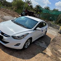 النترا • ٢٠١٣ • أربيل دولي