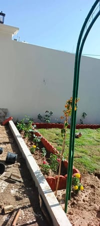 حدقجي حدايق للستفسار 07865722057//07513673461