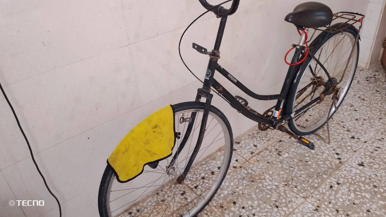 بايسكل للبيع حجم 27 السعر 45وبي العنوان حله حي الجمهري وراسلني خاص وبيك خير وتدلل


**إذا كنت صاحب هذا الإعلان وتريد حذفه لأي سبب، رجاءا أرسل رسالة إلى الدعم الفني**