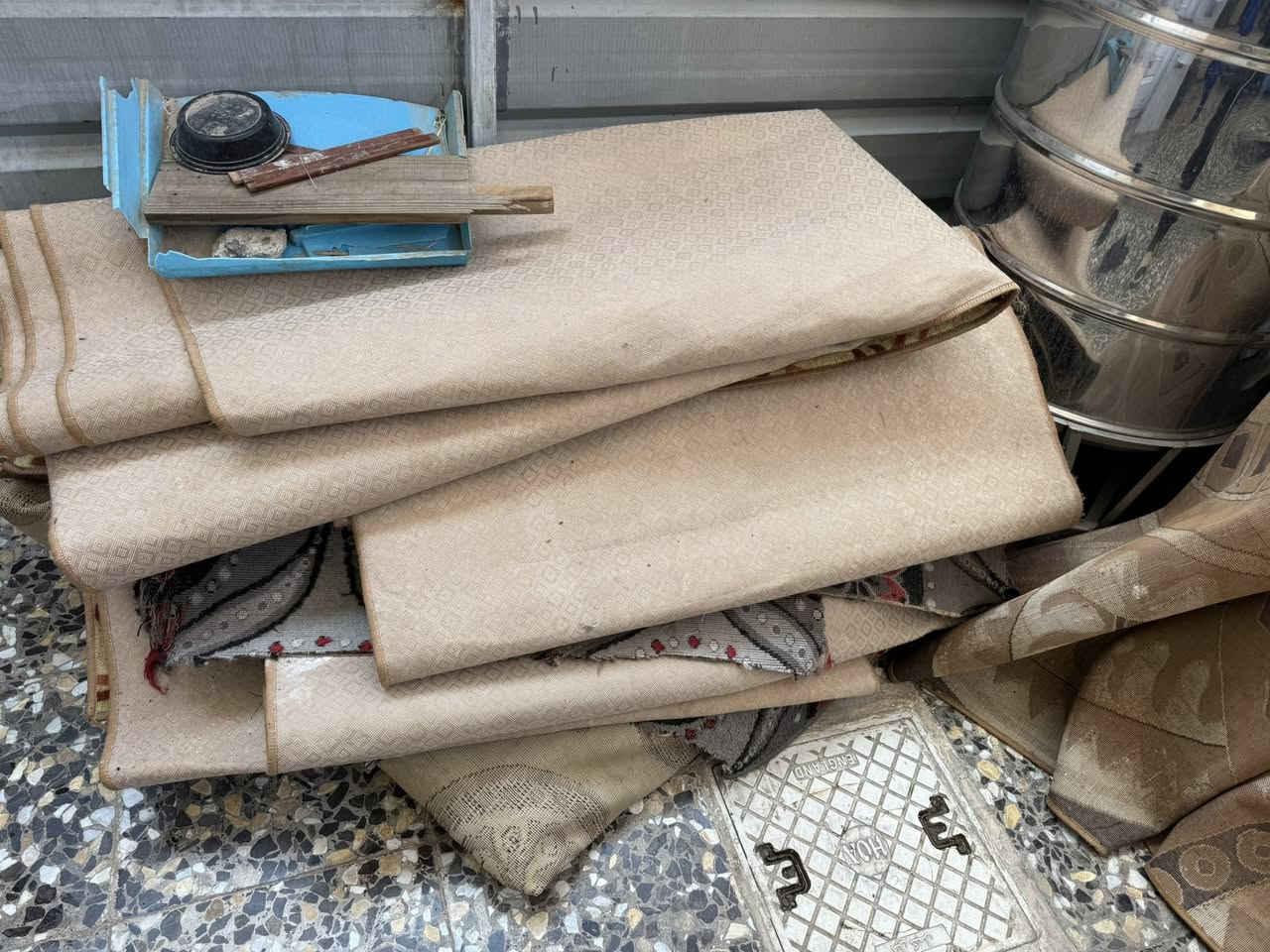 فراشات شتاي يريدهن يجي ياخذهن بلاش مكاني حي اور***********
