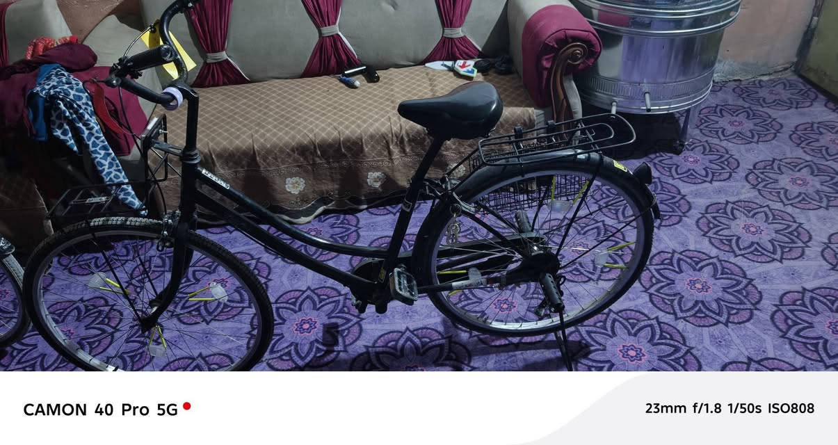 السلام عليكم
باسكل للبيع الموديل 2020

باسكل جاهز وستوني مبدل زوج تايرات وزوج جوابه 

النضافه 80 ب 100 

جاملغ امامي ويا 

العنوان النجف مقابل قريه الغدير 

بشارع المطحنه 

السعر 110 وبي مجال قليل 

حك الجيه
الرقم للاتصال 
***********
