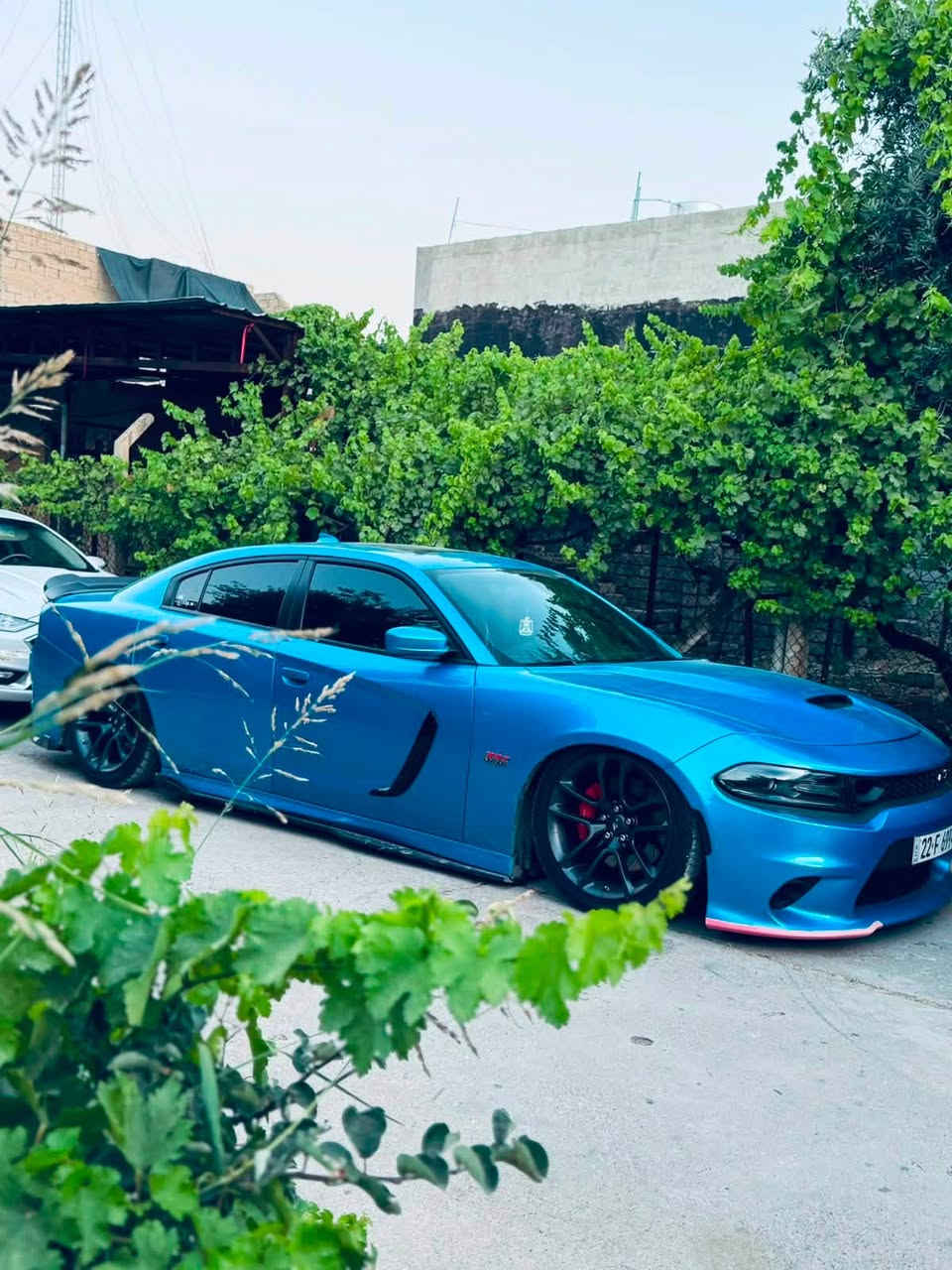دوج جارجر  سكات باك 6400 🐝🐝
موديل 2019 لون مميز 
ماشية 56 الف مايل 
محرك ، 8 سلندر 
حجم  المحرك 6.4 لتر 
القدرة الحصانية 485 حصان
السيارة فول مواصفات 1/1 
جكات تصعد وتنزل 
كشنات جلد 
فتحه
حساسات
تدفئة تبريد كشنات
رادار النقطة العمياء بلمرايات
تايرات جديده
ستيرن RBM كهربائي
ضرر باب سرقه وجاملغ وحافه البنيد 
بدون ايرباك . 
للسفسار ***********‬
