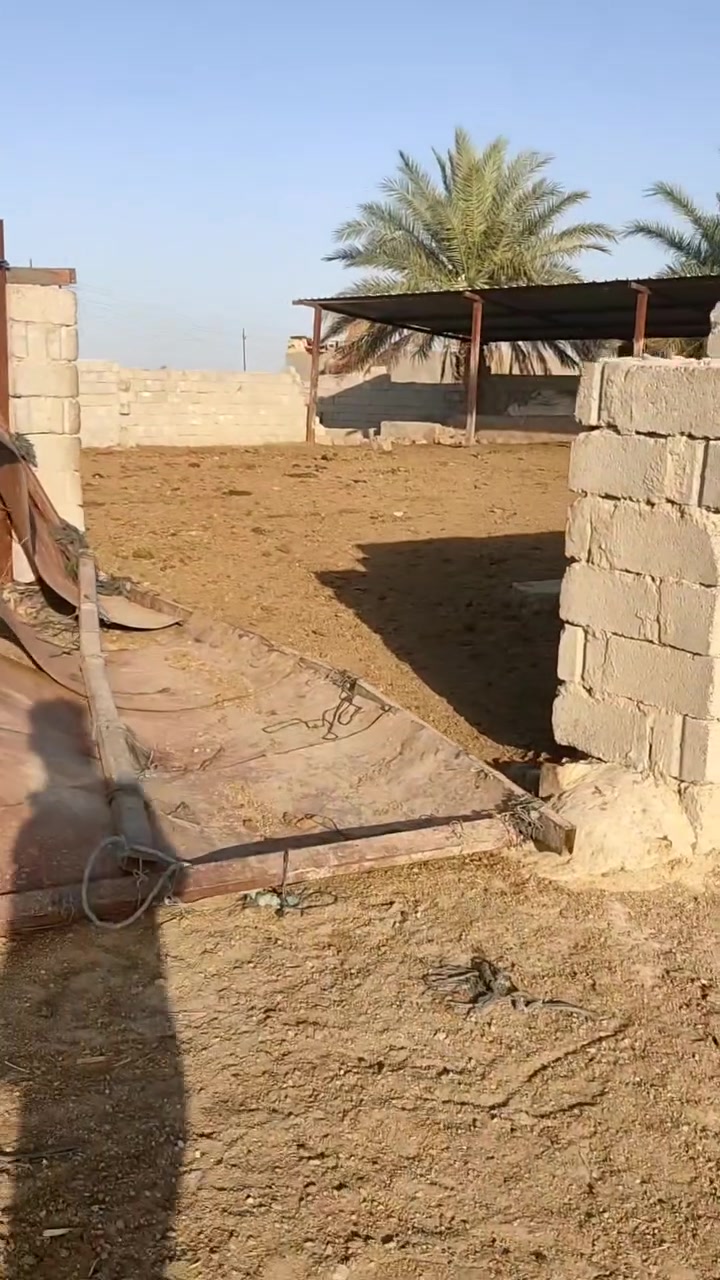 20دونم سند 25 مي صيف شتاء من عتاب بابل ناحية الشوملي 
وبيها بيت ومحصار حلال 
تنزل عليها من طريق حمزة شوملي وطريق البسيتات
سعر الدونم مناسب كلش ب11 مليون وبي مجال 
ارض زراعية خير من الله ومتوفر كهرباء وماء سقي على مدار العام 
بيها 30 نخلة حمالة 
ملاحظة //يباع نصف الارض 10 دونم 
للتواصل والاستفسار الاتصال 
***********
