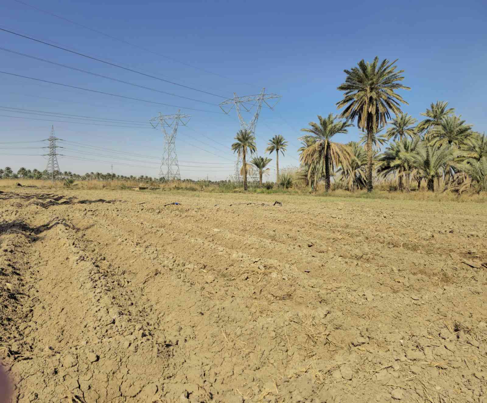 أرض زراعية 6 دونم طابو سند 25 باسم شخص واحد تحويل سعر الدونم 45 مليون قابل للتفاوض كربلاء ناحية الخيرات الموقع موضح بالصور *********** سقي سيح وكهرباء طوارئ
