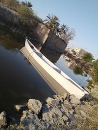 جينكوا • ١٦ ذراع • البصره ابو