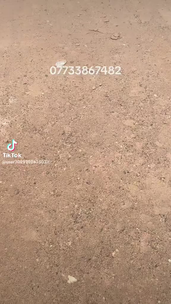 على بركه الله افتتاح ارض جديده في شط العرب الفيروزيه شارع 20 طابو ملك صرف زراعي بها كافه المساحات من 100 متر الى 200 متر.***********
