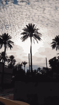 سلام عليكم سيارة فورتي موديل 2012وارد امريكي فول مواصفات ليبل واحد حادثهة دعامية *********** ***********
