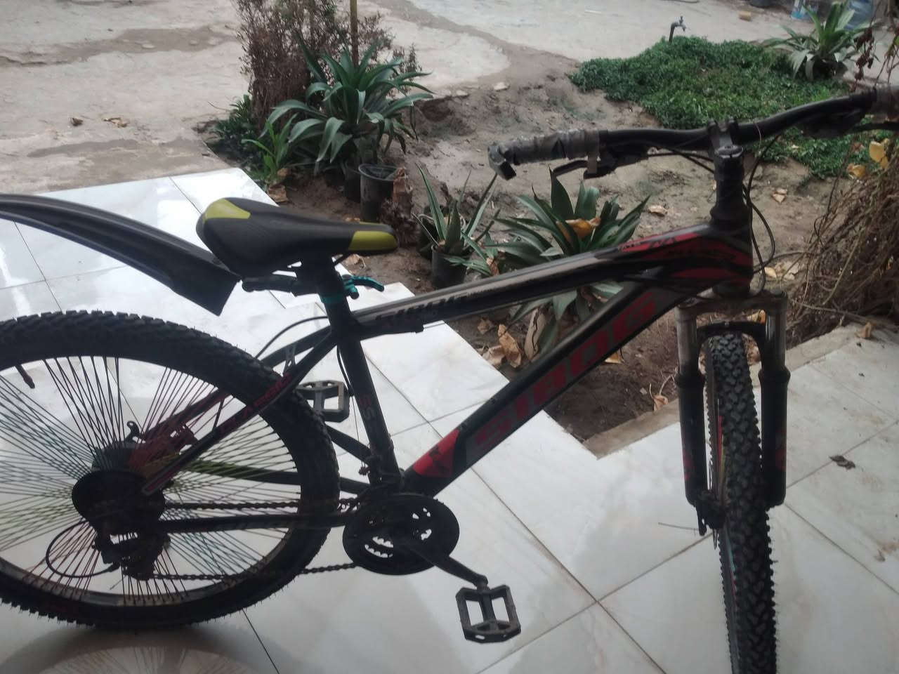 باسكل جبلي حجم ٢٦ سعر ١٣٠بيمجال العنوان نادر الثانيه بقرب محطه العرفان


**إذا كنت صاحب هذا الإعلان وتريد حذفه لأي سبب، رجاءا أرسل رسالة إلى الدعم الفني**