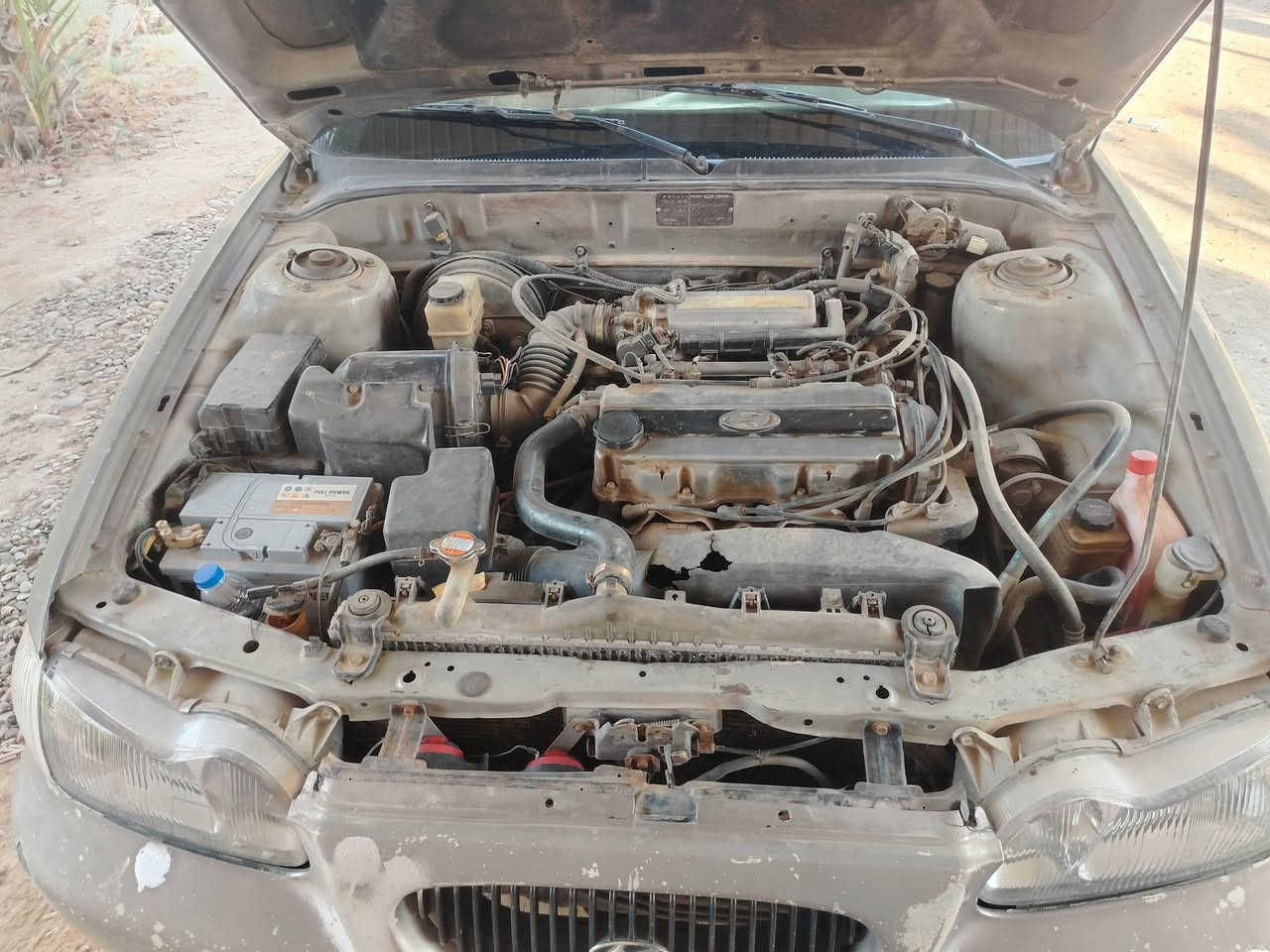 سونتا موديل 98لبيع تخم تاير جديد باتري جديد مكينة مبدلة قبل سنة حاوية حدادة صدر خلفي حاوية كامل الأتصال على الرقم *********** وع الفيس متواجد راسلني خاص وتدلل
