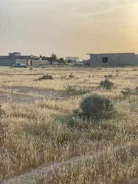 ١ دونم • سند ٢٥ • قضاء العلم