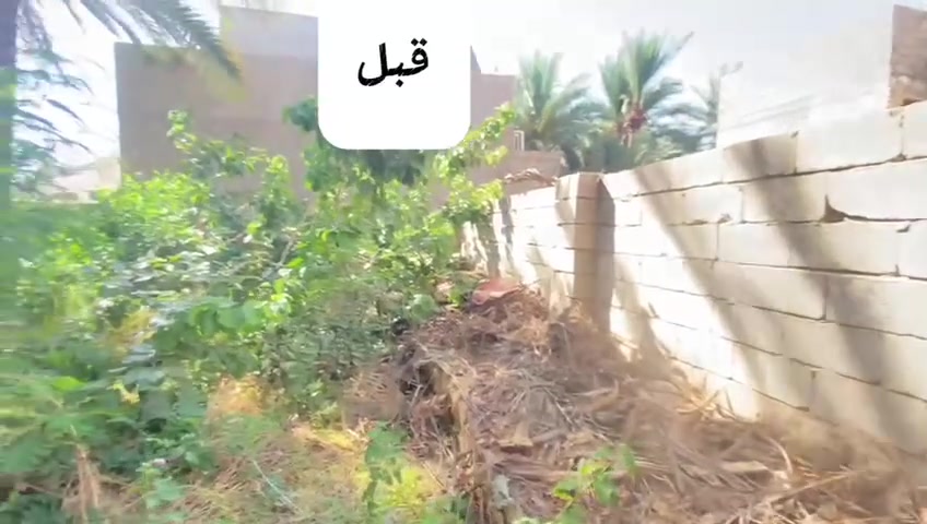 تم وعلى بركه الله تنضيف وتقليم في منطقه بصاير شوفو ترتيب وتنضيف ولا غلطه وعمل احواض للشجار لري مياه  جاهزين لتنفيض طلباتكم اي شي تحتاج اله الحدائق للستفسار اكثر اتصال ع رقم ***********0يتوفر وتساب
