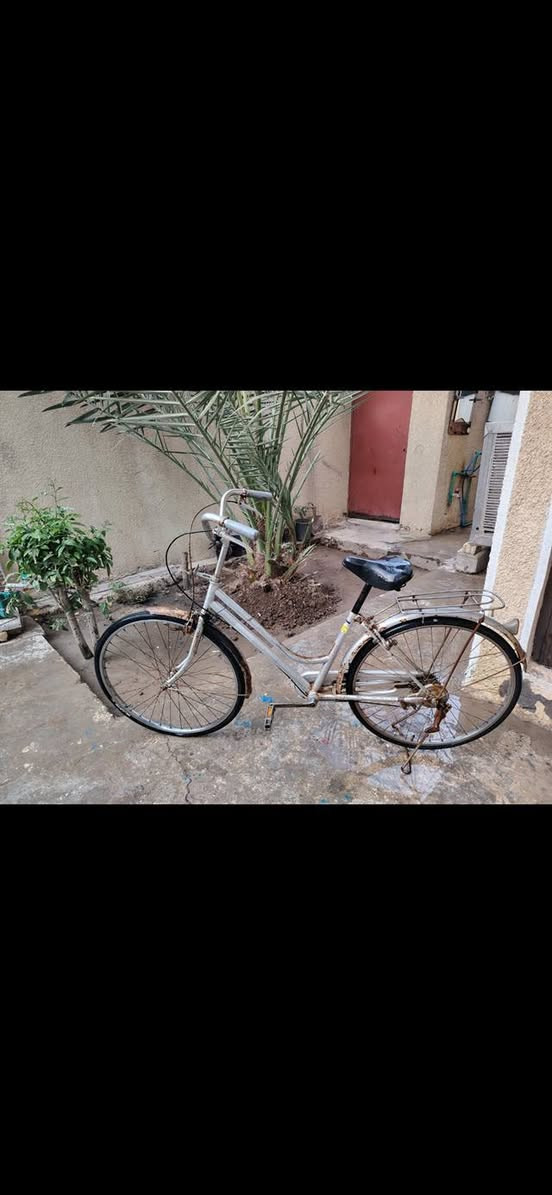 السلام عليكم 
٢ بايسكل للبيع اصلي ياباني شغلات 
السعر اثنينهن ١٠٠ الف


**إذا كنت صاحب هذا الإعلان وتريد حذفه لأي سبب، رجاءا أرسل رسالة إلى الدعم الفني**