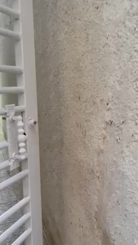 نص قطعه للبيع خلفيه قطاع ٢٣الشراي يتصل ***********
