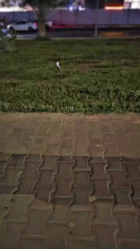 سلام عليكم شباب دراجه جديده صارلهة سبوعين من طالعه دراجه موديل 2026 ما واصلتهة سبانه سعر 750 وبيهة مجال حك جيه رقمي. ***********
