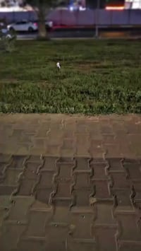 شباب دراجه جديده صارلهة سبوعين من طالعه دراجه موديل 2026 ما واصلتهة سب...