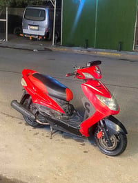 سكنس فحل • معدل • نقوصات بسيطة