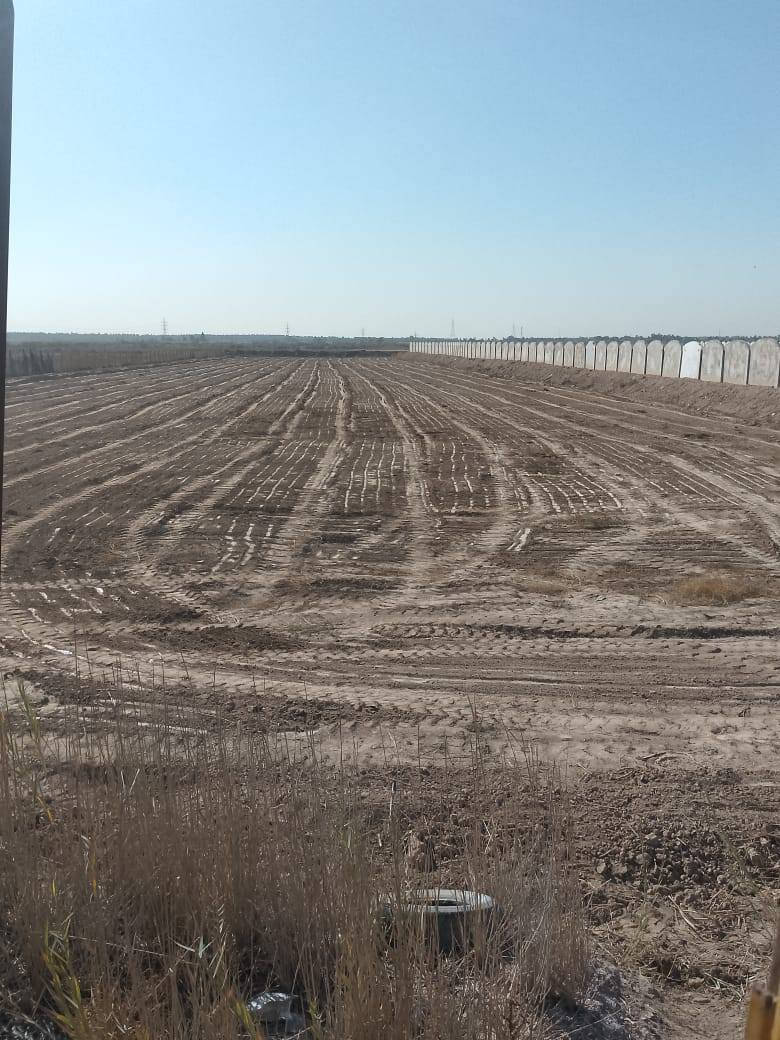 السلام عليكم
5 دونم ملك صرف
المدائن تويثه 
تبعد عن نهر دجله و السده ٧٠٠ متر
بيها كهرباء وماء وتبليط شارعها يطلع على سايدين المدائن 
موقع كلش حلو بناء يمها مزارع فخمه 
***********
***********
