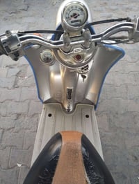 مصريه • فحل • ناعمه