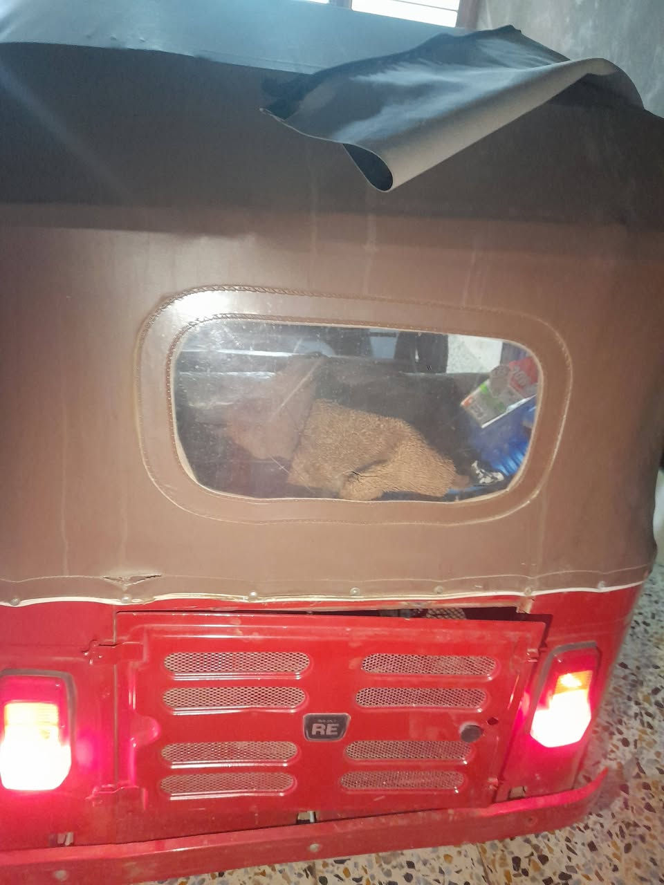 سلام عليكم تكتك للبيع 2017شهر 12//رقم وسنويه تكتك مصبوغه جماليه جان بيها خياس وعمرتها على حسب الاصول وكامله تخم تاير مكينه خير من الله لا تنقيص ولا تبخير تجي تاخذ وكبل للشارع اي استفسار اتصل على رقمي وبي واتس اب //***********
