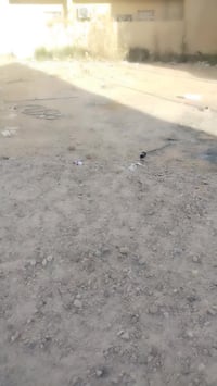 كاع • الزراعة • ٣٠٠م