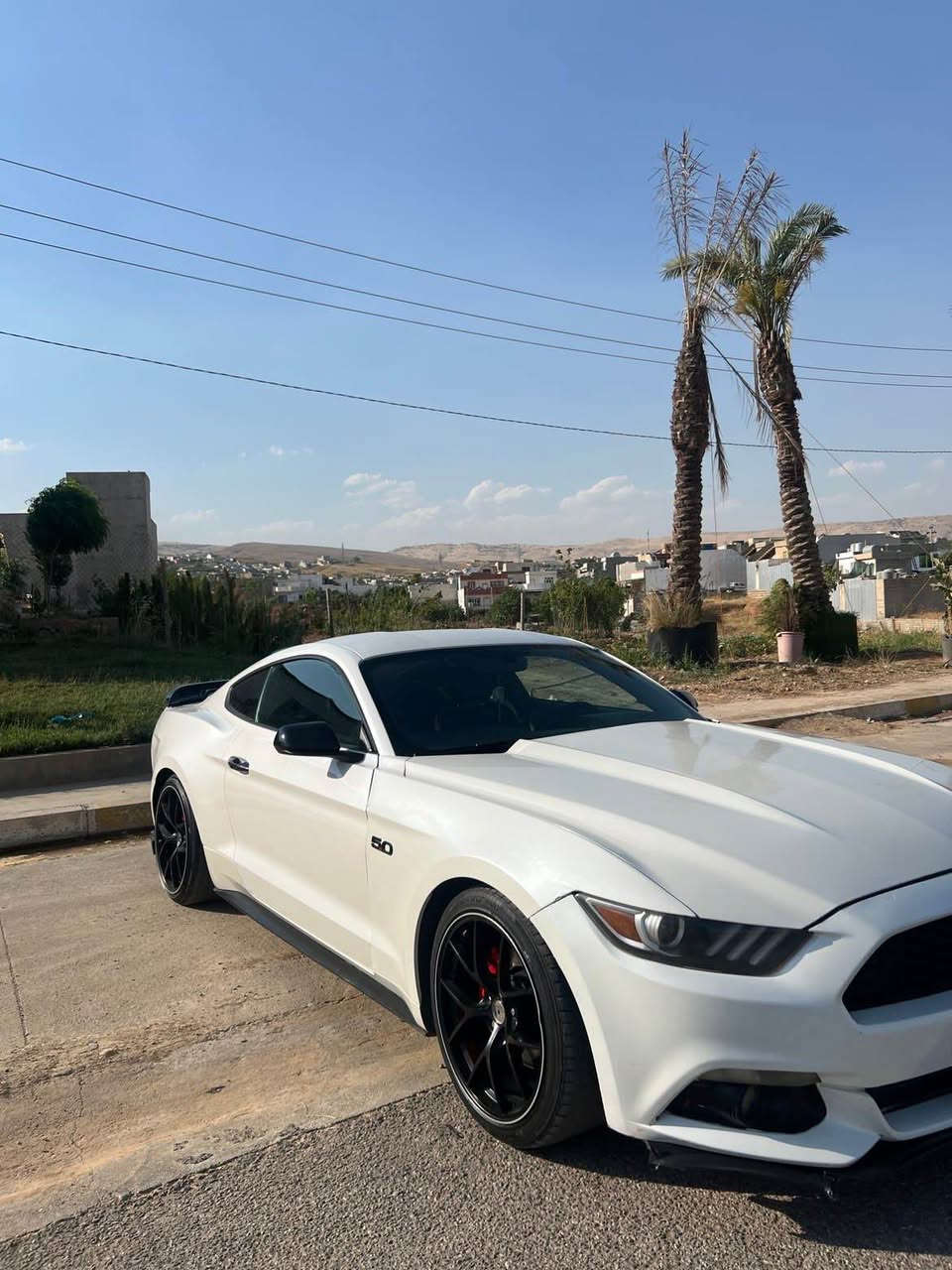 سه ره تا به ناوي خواي گه وره و. مهيره بان 
Ford. Mostang 2017. 
سياره. كه. هه تا بلي. به قؤته 
٣ پارجه ي سبوخه.  
به رمه جه ي. ئه مري. كايه. 
سياره كه.  كامل. سبؤرت. كراوه 
ويل. بالو.  دفيو زه رو زؤر شت 
گزؤز سيته مه.  
كامل ده ست كا ره.  بؤ زا نياري زيا تر.  
*********** كويسينجاك, أربيل
