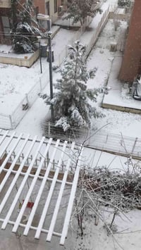 شاري روشن بيران • ١١٠م • ٢غرف