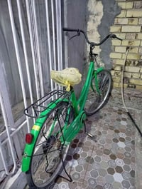 باسكل • ٢٠٢٣ • بابل محاويل