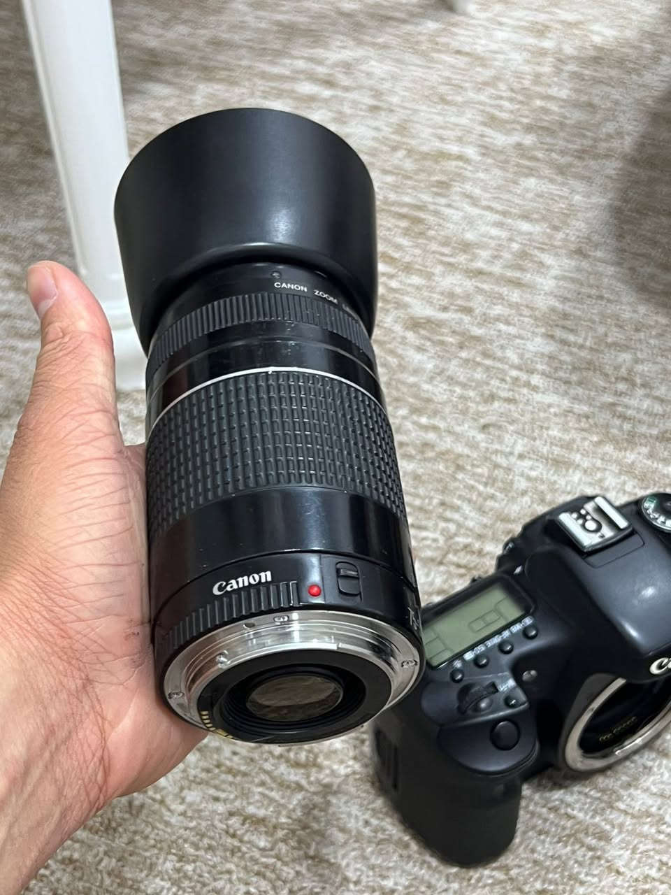 شعندك مراوس نزل.  إذ 6d عندك نتروس عادي


**إذا كنت صاحب هذا الإعلان وتريد حذفه لأي سبب، رجاءا أرسل رسالة إلى الدعم الفني**