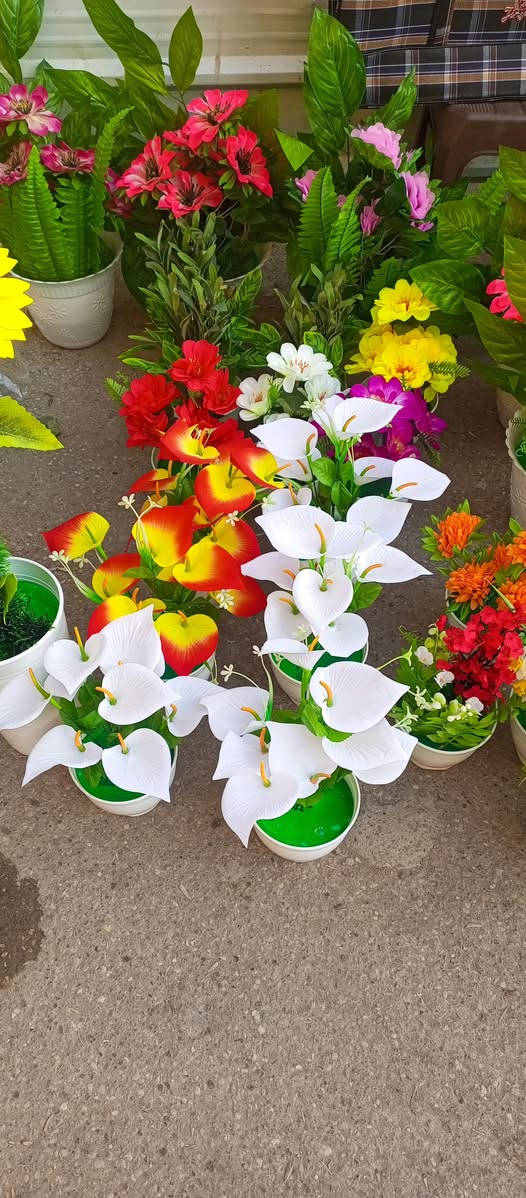 انواع الوردللبيع بعقوبه قرب مرطبات الامير ***********
