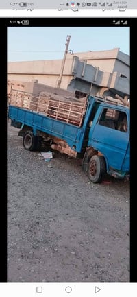 دانيه • صلاح الدين الشرقاط • تأميم أصفر