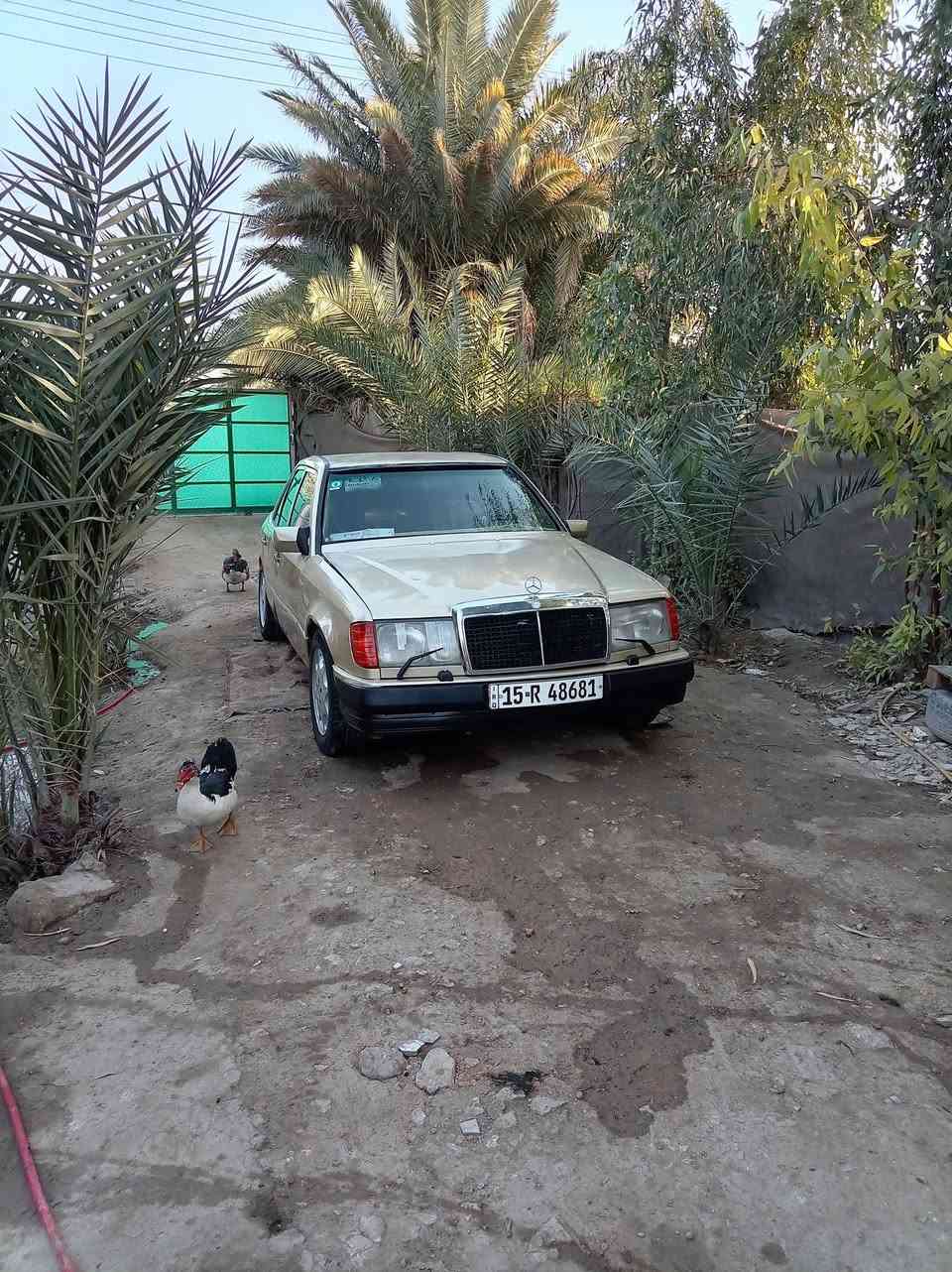 السلام عليكم بيع او مراوس مارس دب موديل 87مشروع وطني محرك بطة بيهة صوت براص ***********/السعر 30وبيه مجال قليل
