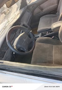 رقم سنوية • بدون راعي • نجف كوفه