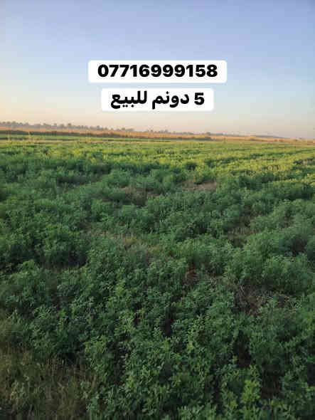 السلام عليكم.                   إعلان رقم 143
ارض زراعيه للبيع المساحه الكليه 5 دونم 
زراعي 
الابعاد 
الوجه78م ونص                  النزال 150م 
السعر مناسب جدا للاستفسار والطلب يرجى التواصل على الرقم 
الموقع بغداد منطقة الراشدية قرب مشروع ماء الزهور 

*********** 
ابو مصطفى العبيدي
