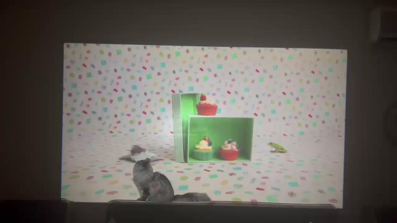 داتاشو افلام ب 80 الف دينار فقط
داتاشو مستعمل جديد بنظام اندرويد مفتوح، يعني تقدر تنزل به جميع البرامج
عنده مواصفات auto focus و auto keystone correction
اي يعني التصحيح الفوكس و تصحيح انحراف الزوايا يكون أوتوماتيكي

الداتاشو تجي مع:
- ريموت كونترول
- ستاند صغير يربط بالداتاشو
- كيبل شحن
- كيبل HDMI
- كيبل AUX
- كيس قماش لحمل جميع اغراض الداتاشو

افضل برامج الافلام Stremio منصب بالجهاز مع احسن السيرفرات torrentio, يعني تقدر به تشاهد كل الأفلام و المسلسلات الأجنبية بالترجمة العربية و بأعلى دقة.
مع برامج Yacine TV و Drama Live و اخرى للمباريات و أفلام و مسلسلات العربية و التركية.

للحجز ارسل رسالة بالخاص او واتساب
WhatsApp:
***********
